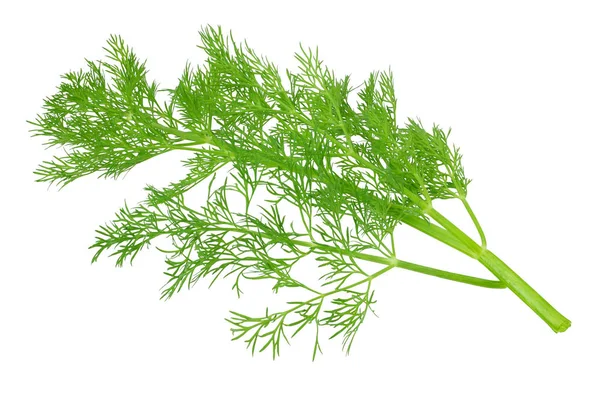 Fresh green dill isolated on white background. top view — Stock Photo, Image