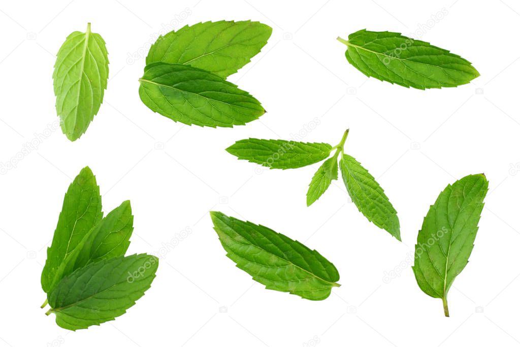 Fresh mint leaves isolated on white background. top view 