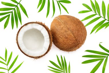 Beyaz arka planda yeşil yapraklı hindistan cevizi. en üstteki görünüm