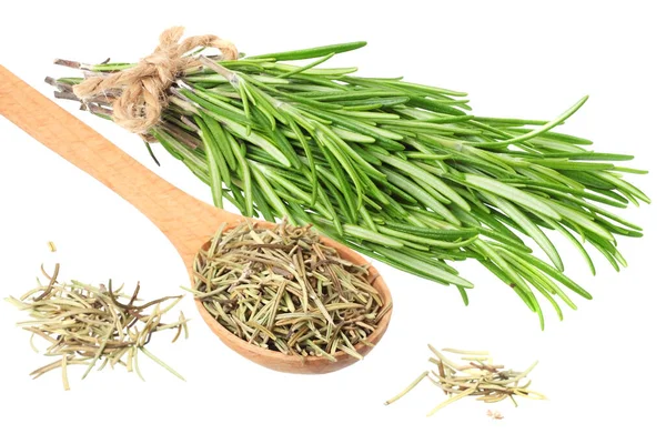 Rosemary Leaves Isolated White Background Rosemary Bunch — Stock Photo, Image