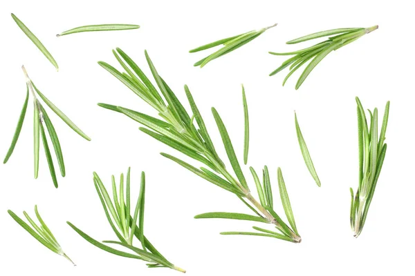 Rosemary Leaves Isolated White Background Top View — Stock Photo, Image