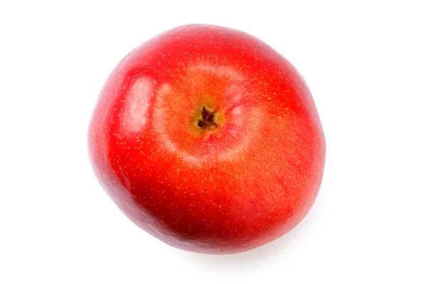 Ett Rött Äpple Isolerad Vit Bakgrund — Stockfoto