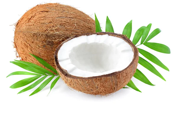 Halve Kokosnoot Met Groene Bladeren Geïsoleerd Witte Achtergrond — Stockfoto
