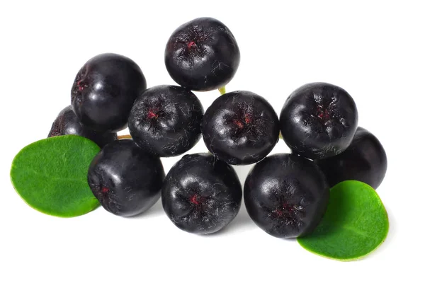 Chokeberry Con Hojas Verdes Aisladas Sobre Fondo Blanco Aronia Negra —  Fotos de Stock