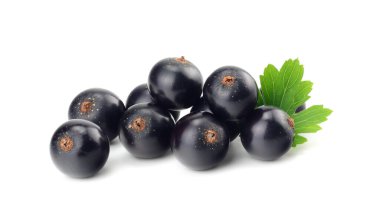 Beyaz arka planda yeşil yapraklı siyah frenk üzümü. makro