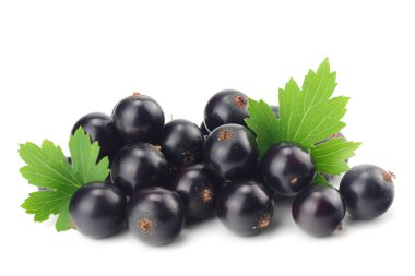 Beyaz arka planda yeşil yapraklı siyah frenk üzümü. makro