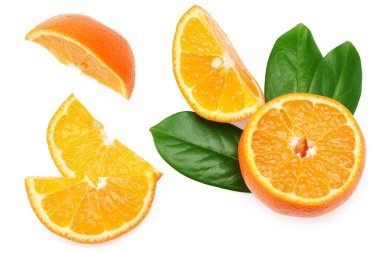 beyaz arkaplan görünümünde yeşil yapraklı turuncu