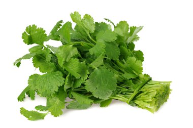 Beyaz arka planda izole edilmiş taze kişniş yaprakları. Coriandrum sativum.