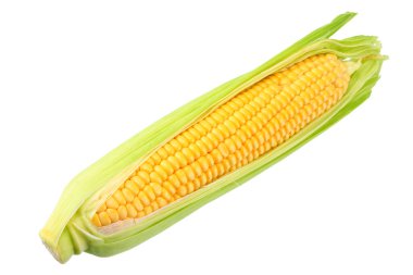 Beyaz arka planda izole koçan üzerinde taze mısır