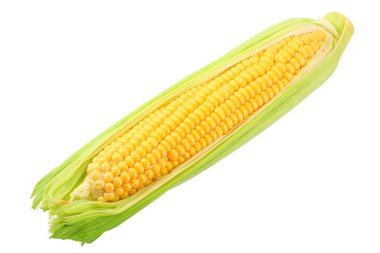 Beyaz arka planda izole koçan üzerinde taze mısır