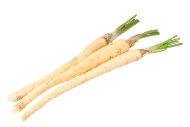 Beyaz arka plan üzerinde izole taze maydanoz kökü