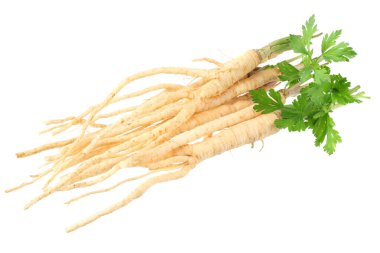 Beyaz arka plan üzerinde izole taze maydanoz kökü