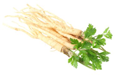 Beyaz arka plan üzerinde izole taze maydanoz kökü