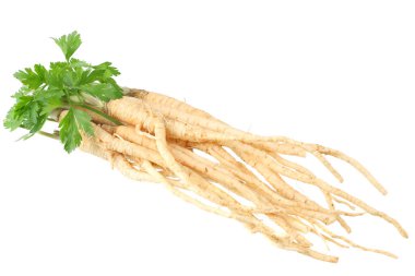 Beyaz arka plan üzerinde izole taze maydanoz kökü