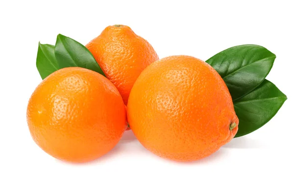 Oranje Clementine Minneola Tangelo Met Groene Bladeren Geïsoleerd Witte Achtergrond — Stockfoto