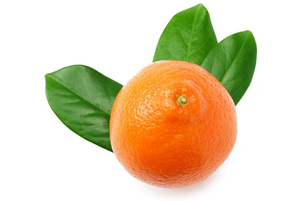 위에서 분리되어 오렌지색 — 스톡 사진