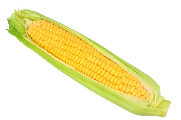 Čerstvá Kukuřice Klasy Izolovaná Bílém Pozadí — Stock fotografie