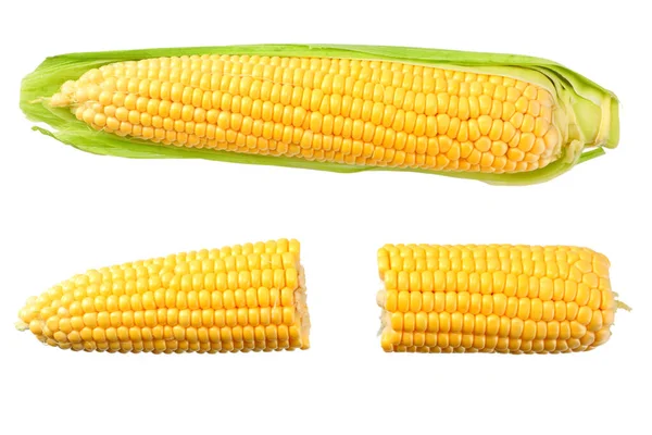 Fresh Corn Cob Isolated White Background — Stock Photo, Image