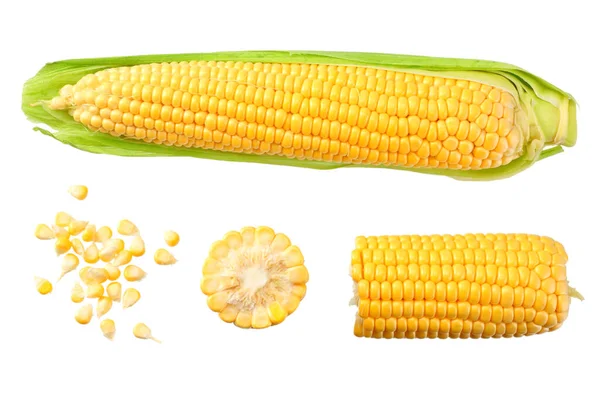 Fresh Corn Cob Isolated White Background — Stock Photo, Image