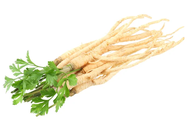 Fresh Parsley Root Isolated White Background — Stock Photo, Image