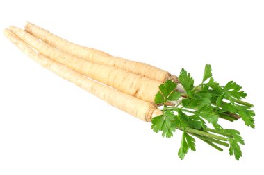 Beyaz arka plan üzerinde izole taze maydanoz kökü.