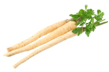 Beyaz arka plan üzerinde izole taze maydanoz kökü.