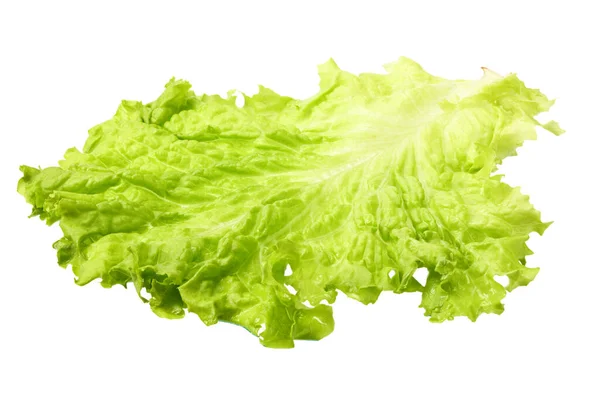 Foglia Insalata Una Lattuga Verde Isolata Fondo Bianco — Foto Stock