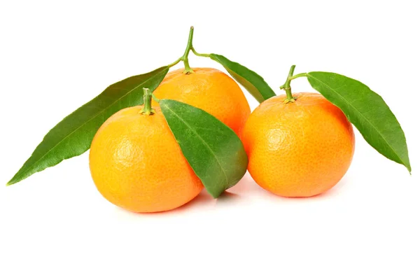 Mandarin Zöld Levelek Elszigetelt Fehér Alapon — Stock Fotó