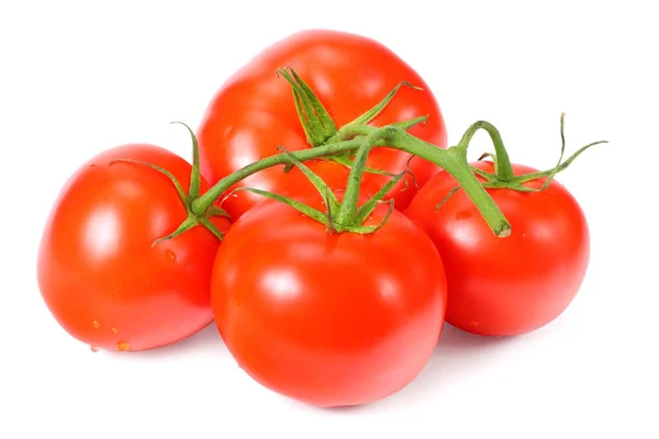 Tomates Frescos Isolados Sobre Fundo Branco — Fotografia de Stock