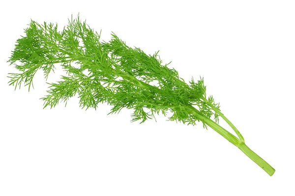 Verse Groene Dille Geïsoleerd Witte Achtergrond Bovenaanzicht — Stockfoto