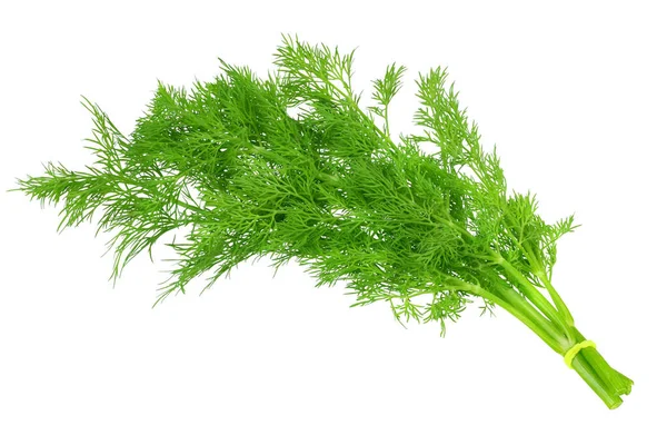 Fresh Green Dill Isolated White Background Top View — Stock Photo, Image