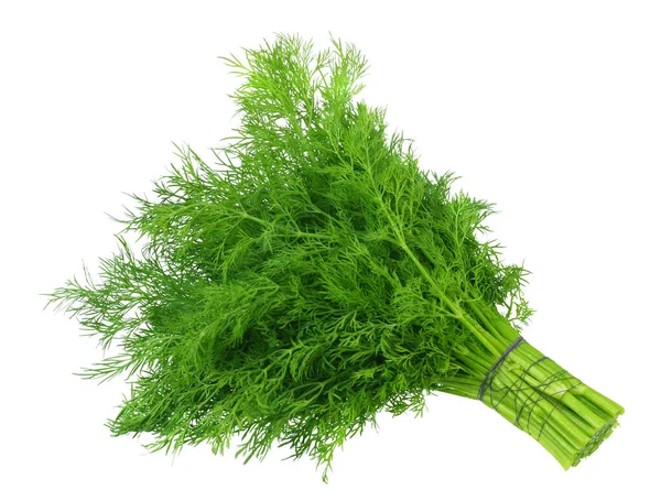 Gäng Färska Gröna Dill Isolerad Vit Bakgrund — Stockfoto