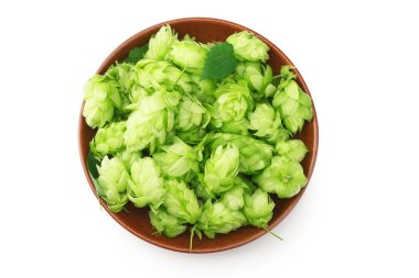 Beyaz arka plan üzerinde izole koniler hop. Bira bira malzemeler. Bira bira kavramı. Bira arka plan. Üstten görünüm