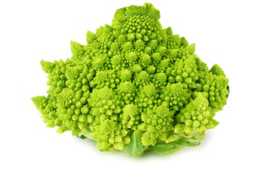 Romanesco brokoli beyaz arka planda izole edilmiş. Roma karnabaharı