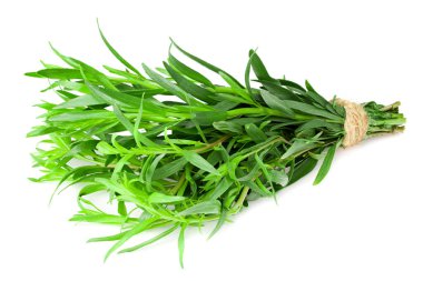 Beyaz arka planda izole edilmiş tarhun yaprakları. Artemisia dracunculus