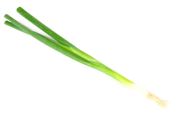 Зелена Цибуля Ізольована Білому Тлі — стокове фото