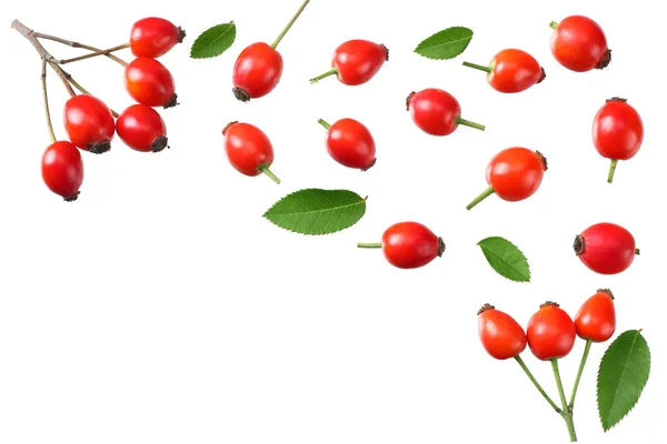 Rosehip Berries Green Leaves Isolated White Background Top View — Stock Photo, Image