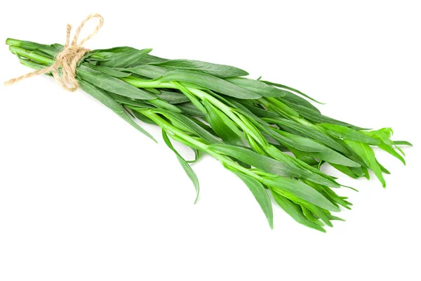 Sekelompok Daun Tarragon Terisolasi Pada Latar Belakang Putih Artemisia Dracunculus — Stok Foto