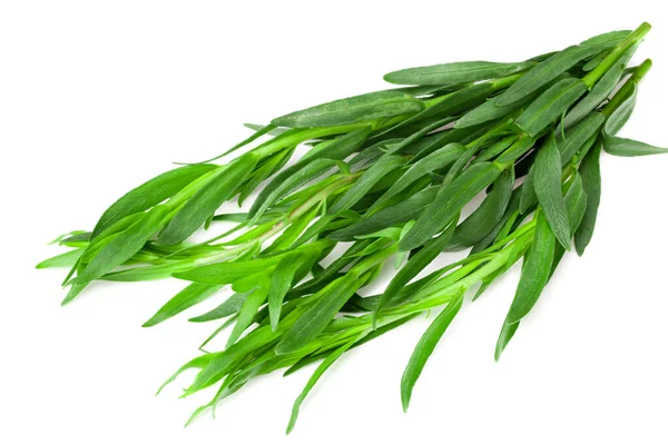 Stelletje Drakenbladeren Geïsoleerd Witte Achtergrond Artemisia Dracunculus — Stockfoto