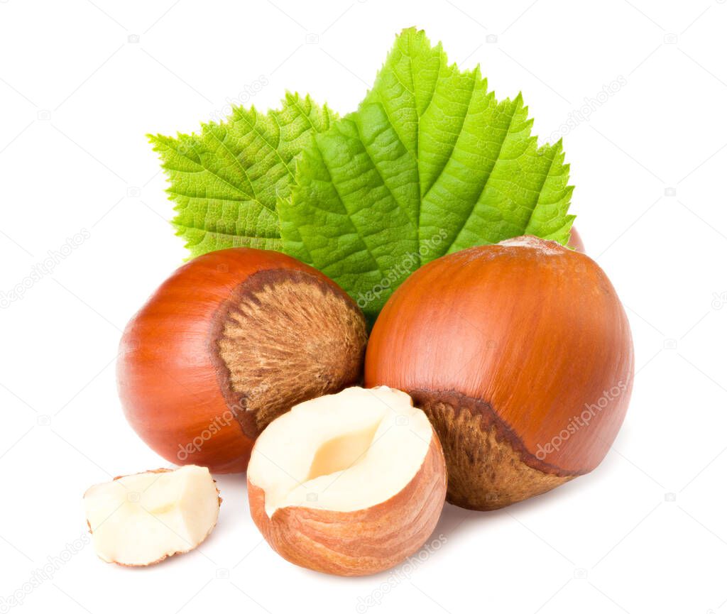 hazelnuts with green leaf isolated on white background