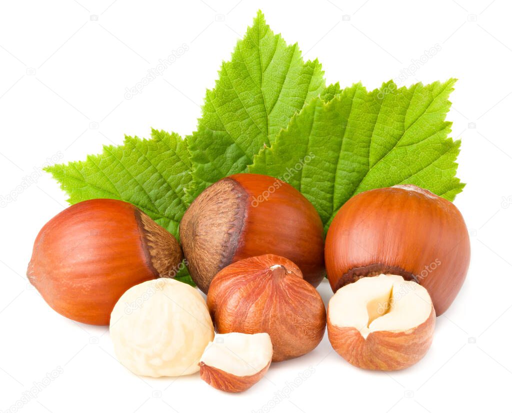 hazelnuts with green leaf isolated on white background