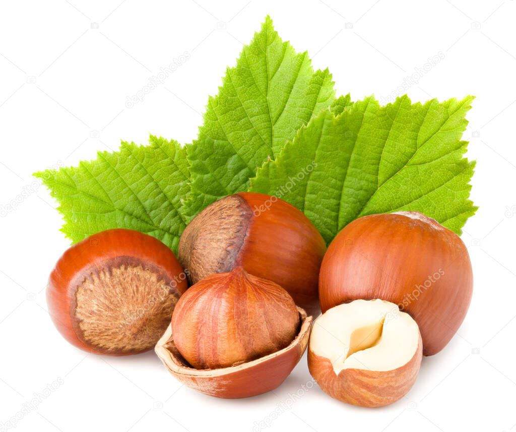 hazelnuts with green leaf isolated on white background