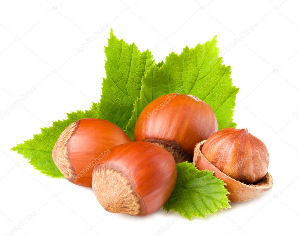 hazelnuts with green leaf isolated on white background