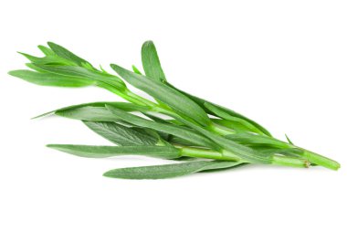 Tarhun yaprakları beyaz arkaplanda yalıtılmış. Artemisia dracunculus.