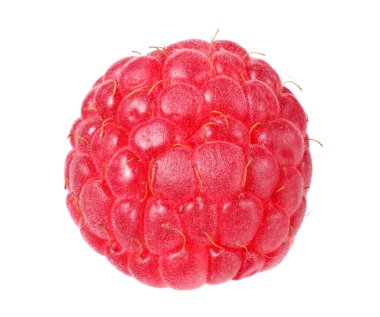 Beyaz arka planda izole edilmiş olgun bir ahududu.