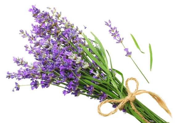 lavanta çiçekleri beyaz arka plan üzerinde izole. lavanta çiçek demet.