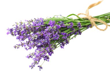 lavanta çiçekleri beyaz arka plan üzerinde izole. lavanta çiçek demet.