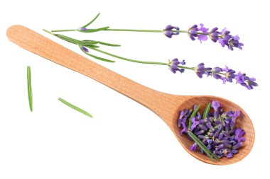 Beyaz arka planda lavanta çiçekleri var. en üstteki görünüm