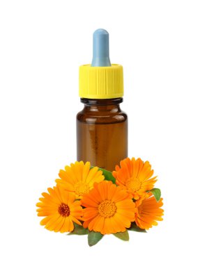 Beyaz arka planda karanfilli çiçekli kadife yağı şişesi. Calendula çiçeği.