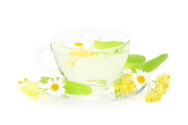 Beyaz arka planda izole edilmiş papatya çiçekleri.